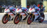 2023 RSV4 1100 Factory 限量版塗裝