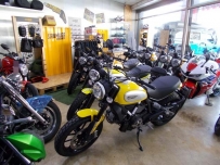 Scrambler 全車系 50萬40期零利率優惠實施中